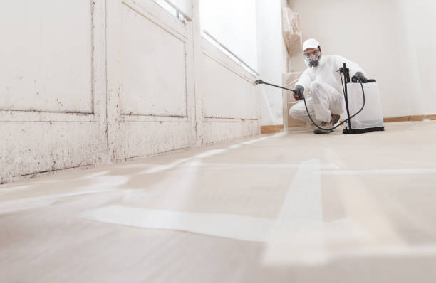 24/7 Emergency Basement Mold Remediation experts in Monroe Township, NJ