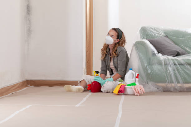 Reliable Basement Mold Remediation contractor in Monroe Township, NJ by Mold Remediation HQ